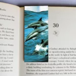wholesale-mag-mark-bookmarks-12