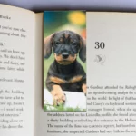 wholesale-mag-mark-bookmarks-18