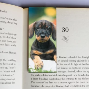 wholesale-mag-mark-bookmarks-18