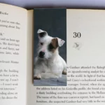 wholesale-mag-mark-bookmarks-23