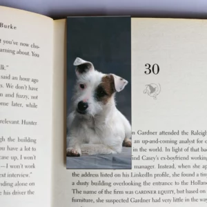 wholesale-mag-mark-bookmarks-23