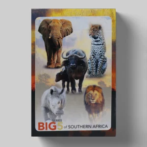 wholesale-souvenir-playing-cards-73-1-big-five