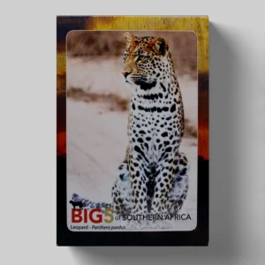 wholesale-souvenir-playing-cards-73-4-leopard