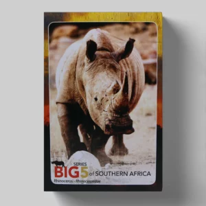 wholesale-souvenir-playing-cards-73-6-rhino