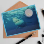 wholesale-memento-postcards-a02