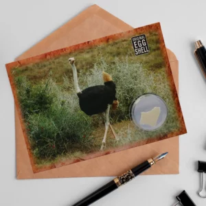 Postcards wholesale-memento-postcards-a03