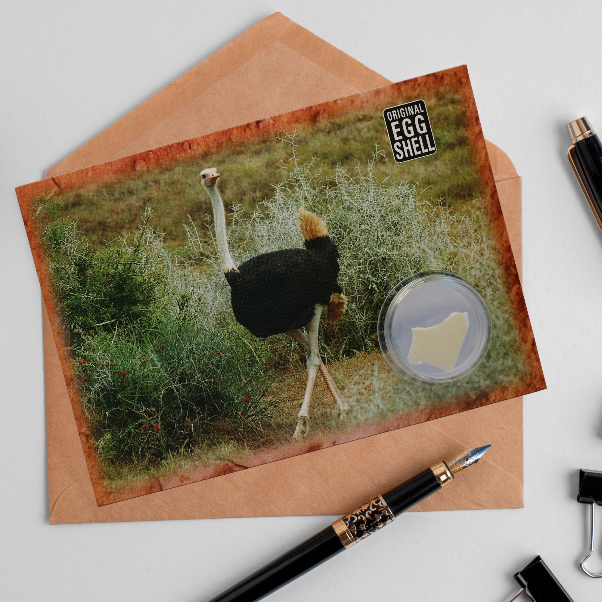 a03 wholesale-memento-postcards-a03