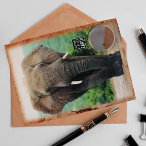 wholesale-memento-postcards-a08