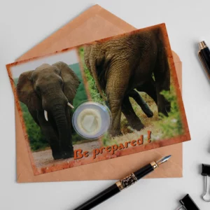 Postcards wholesale-memento-postcards-d08