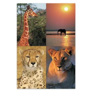 wholesale-picture-magnet-sets-fr02
