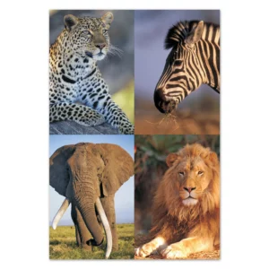 wholesale-picture-magnet-sets-fr03