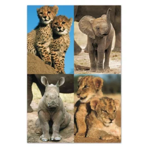 wholesale-picture-magnet-sets-fr06