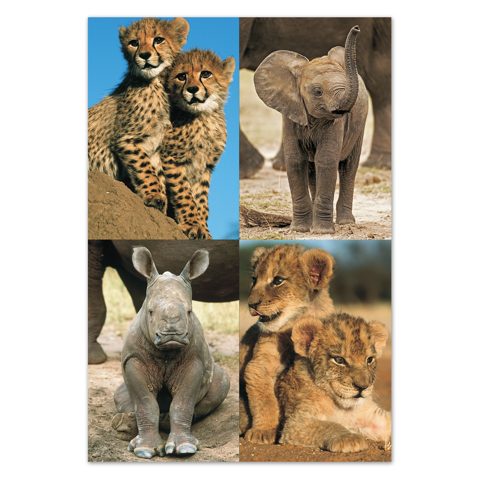 fr06 wholesale-picture-magnet-sets-fr06