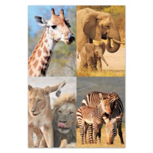 wholesale-picture-magnet-sets-fr08
