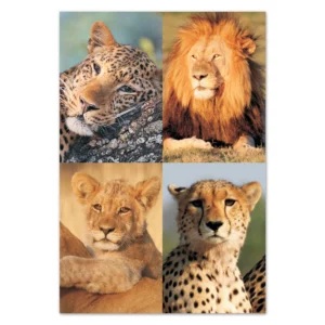 wholesale-picture-magnet-sets-fr09