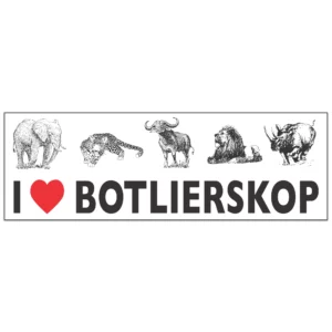 Bumper Stickers wholesale-souvenir-stickers-s21