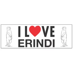 wholesale-souvenir-stickers-s31