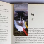 wholesale-mag-mark-bookmarks-101
