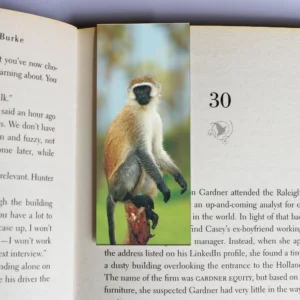 wholesale-mag-mark-bookmarks-210
