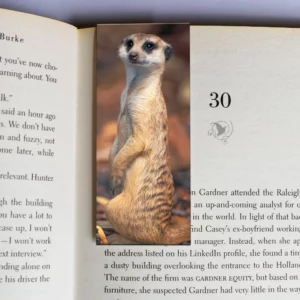 wholesale-mag-mark-bookmarks-211
