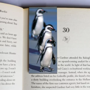 wholesale-mag-mark-bookmarks-213