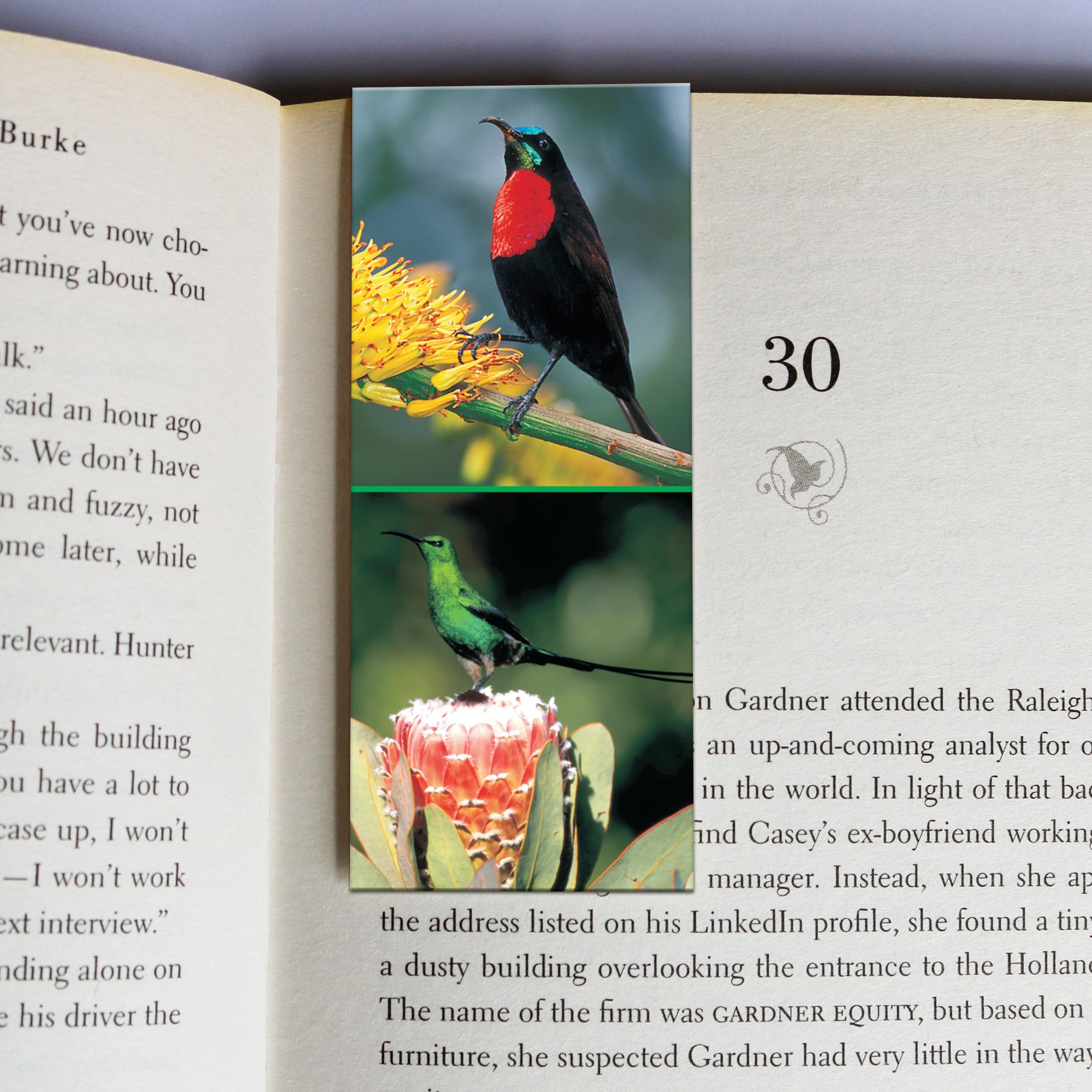 214 wholesale-mag-mark-bookmarks-214