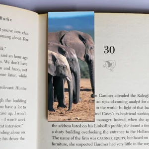 wholesale-mag-mark-bookmarks-216