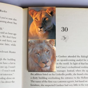 wholesale-mag-mark-bookmarks-218