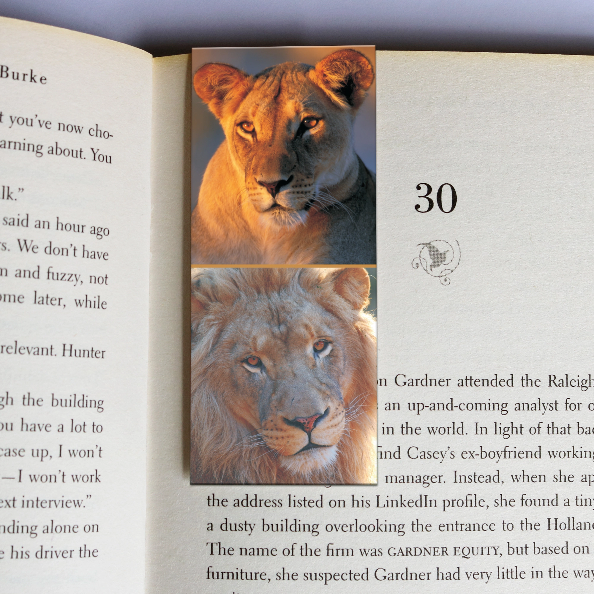 218 wholesale-mag-mark-bookmarks-218