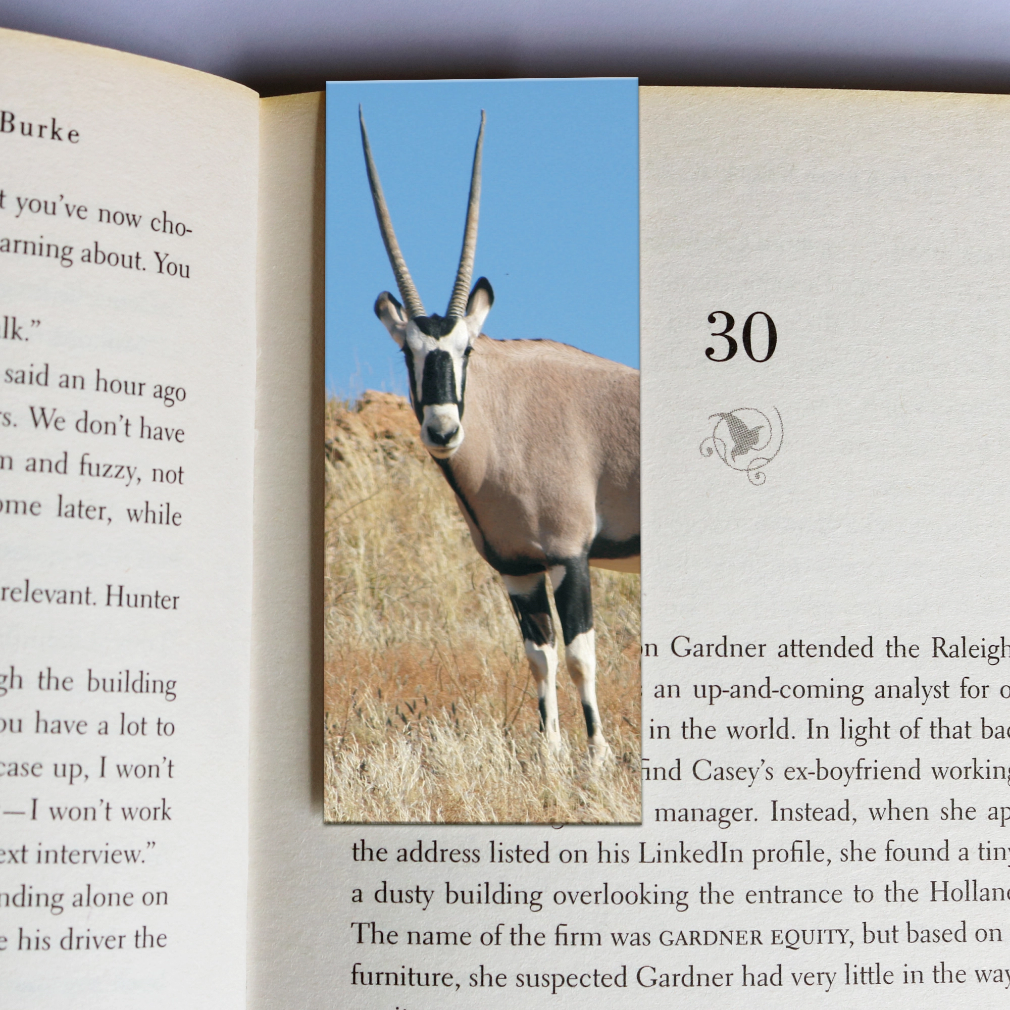 219 wholesale-mag-mark-bookmarks-219