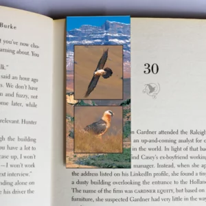 wholesale-mag-mark-bookmarks-220