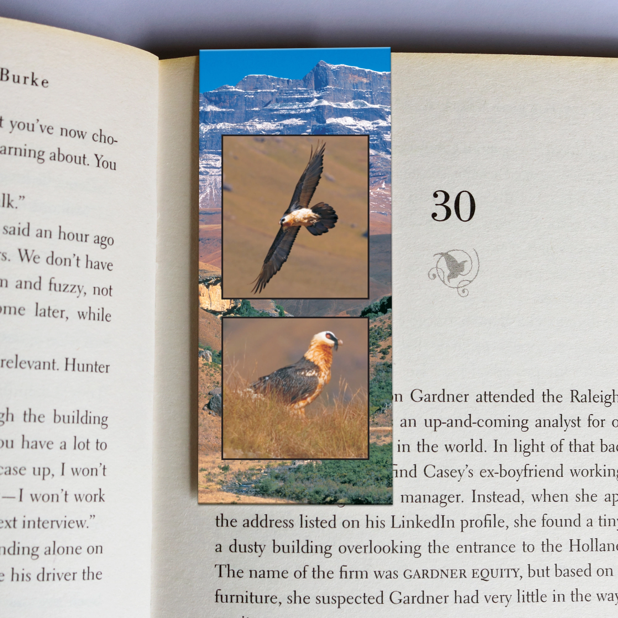 220 wholesale-mag-mark-bookmarks-220