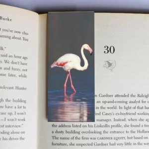 wholesale-mag-mark-bookmarks-235