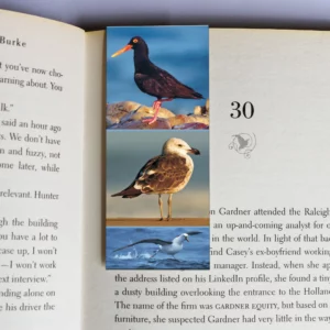 wholesale-mag-mark-bookmarks-236