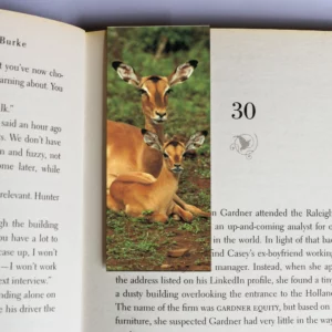 wholesale-mag-mark-bookmarks-244