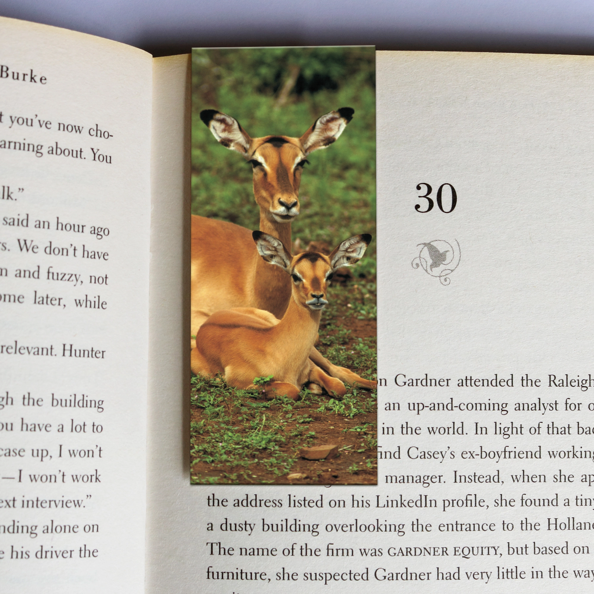 244 wholesale-mag-mark-bookmarks-244