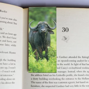 wholesale-mag-mark-bookmarks-251
