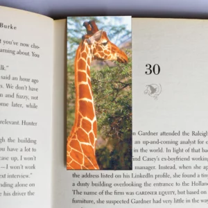 wholesale-mag-mark-bookmarks-253