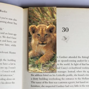 wholesale-mag-mark-bookmarks-254
