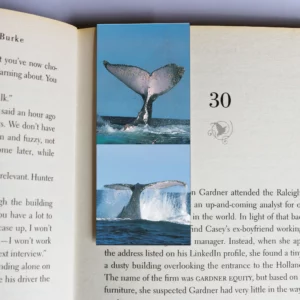 wholesale-mag-mark-bookmarks-257