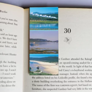 wholesale-mag-mark-bookmarks-266