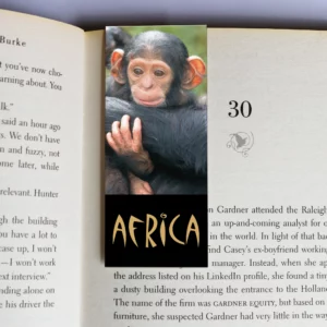 wholesale-mag-mark-bookmarks-278