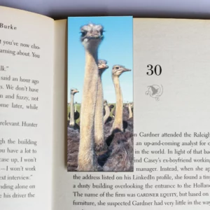 wholesale-mag-mark-bookmarks-292