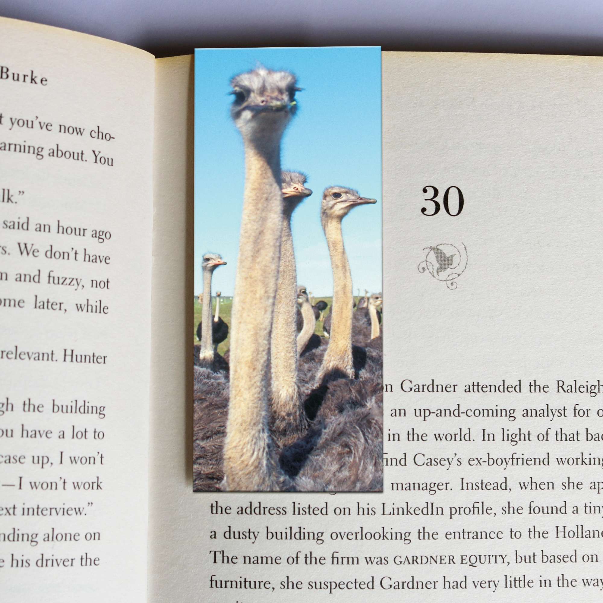 292 wholesale-mag-mark-bookmarks-292