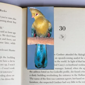 wholesale-mag-mark-bookmarks-295