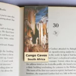 wholesale-mag-mark-bookmarks-302