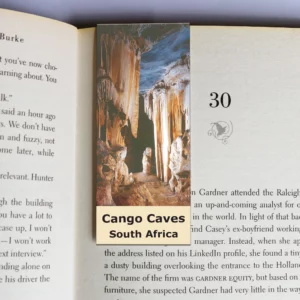 wholesale-mag-mark-bookmarks-302