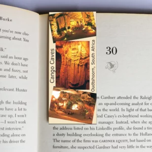 wholesale-mag-mark-bookmarks-303