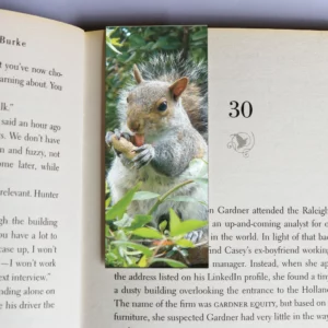 wholesale-mag-mark-bookmarks-309