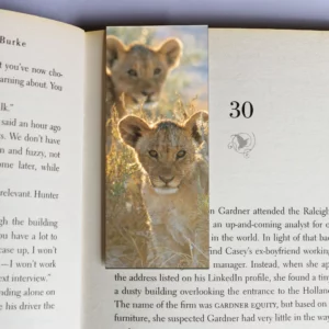 wholesale-mag-mark-bookmarks-322